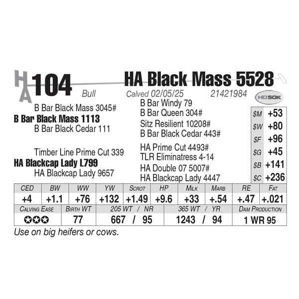HA Black Mass 5528