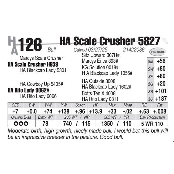 HA Scale Crusher 5827