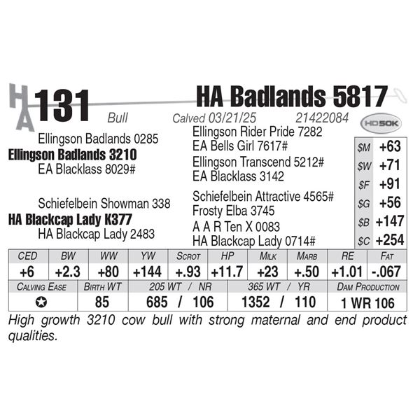 HA Badlands 5817