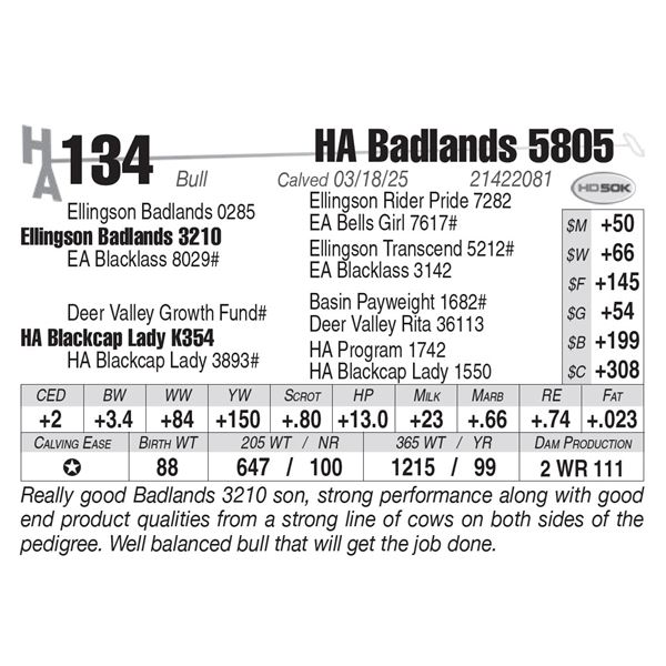 HA Badlands 5805