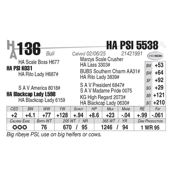 HA PSI 5538