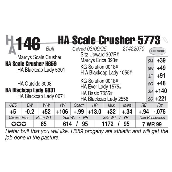 HA Scale Crusher 5773