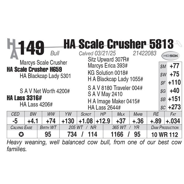 HA Scale Crusher 5813