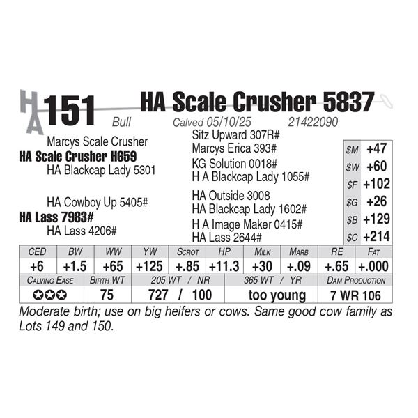 HA Scale Crusher 5837