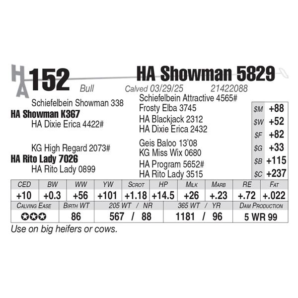 HA Showman 5829