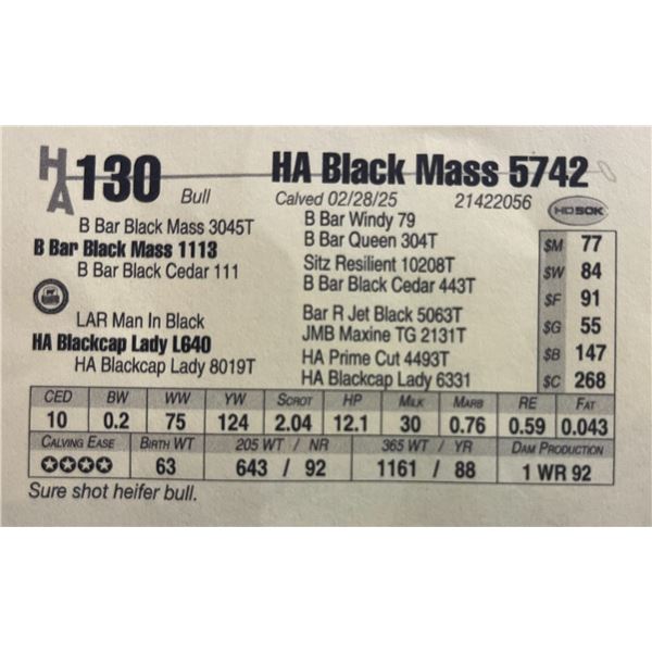HA Black Mass 5742