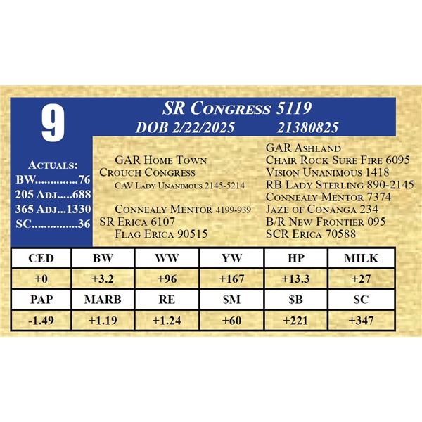 SR CONGRESS 5119