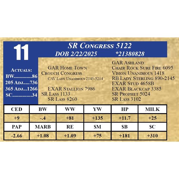 SR CONGRESS 5122