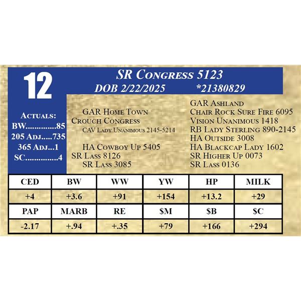 SR CONGRESS 5123