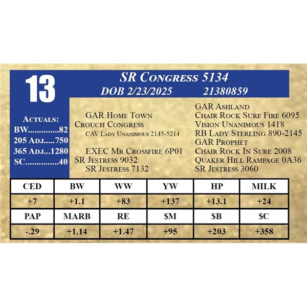 SR CONGRESS 5134