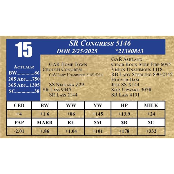 SR CONGRESS 5146