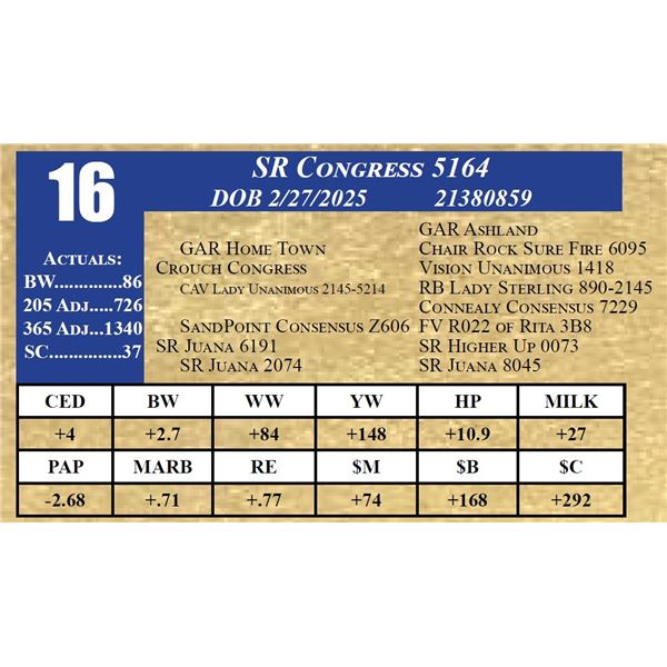 SR CONGRESS 5164