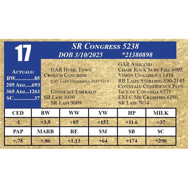 SR CONGRESS 5238