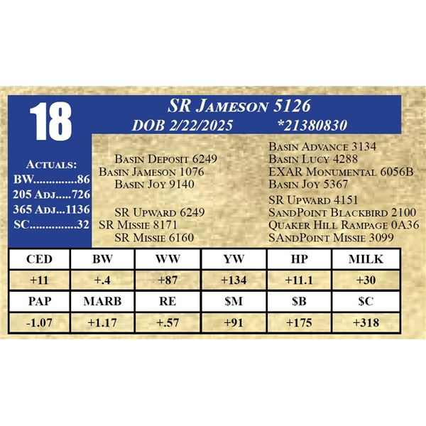 SR JAMESON 5126