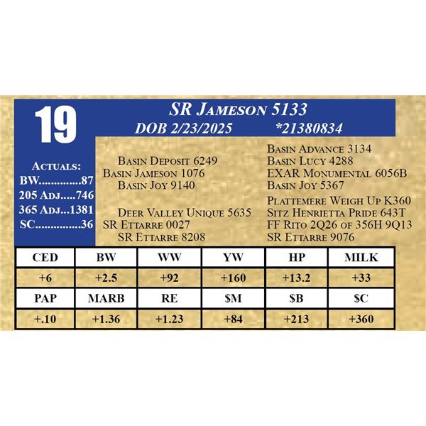 SR JAMESON 5133