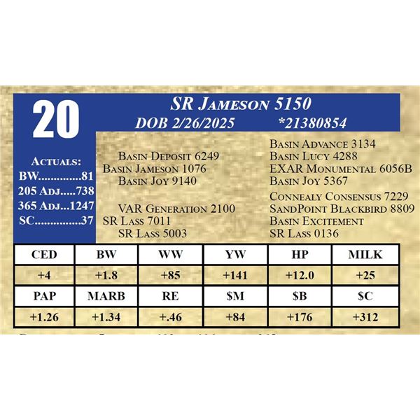 SR JAMESON 5150