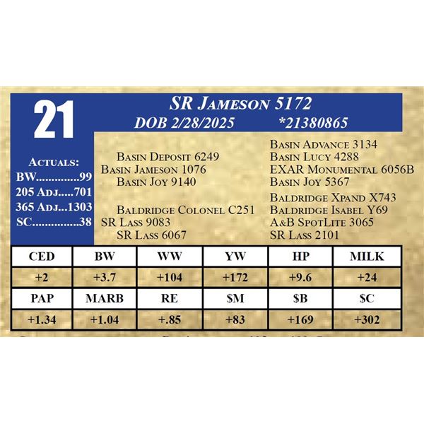 SR JAMESON 5172