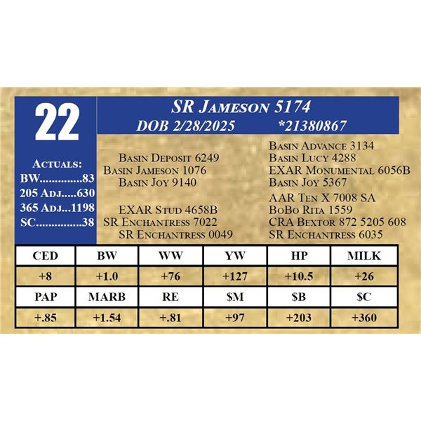 SR JAMESON 5174