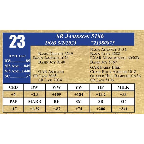 SR JAMESON 5186