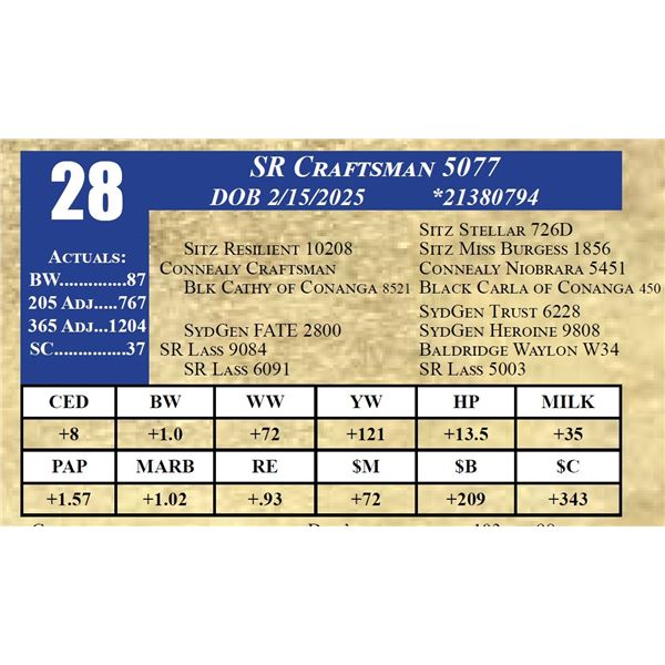 SR CRAFTSMAN 5077