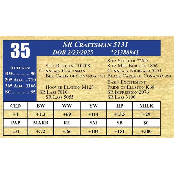 SR CRAFTSMAN 5131