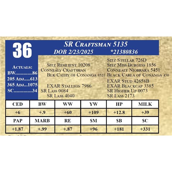 SR CRAFTSMAN 5135