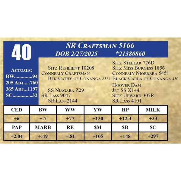 SR CRAFTSMAN 5166