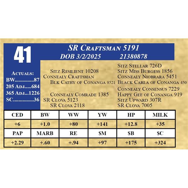 SR CRAFTSMAN 5191