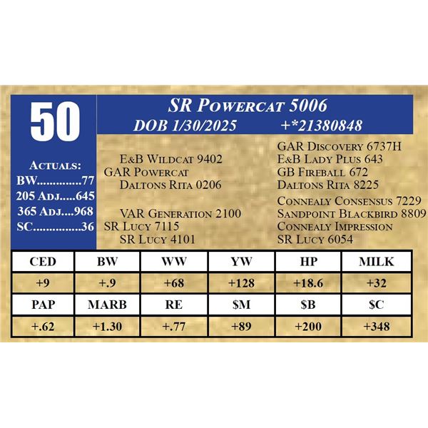 SR POWERCAT 5006