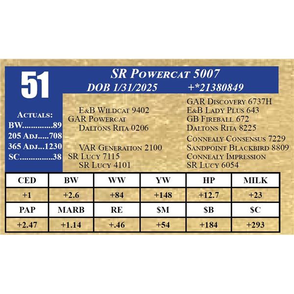 SR POWERCAT 5007