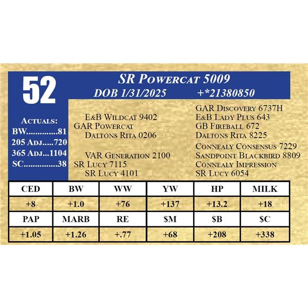 SR POWERCAT 5009