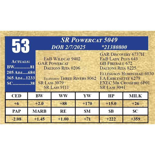 SR POWERCAT 5049