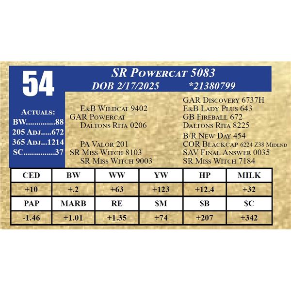 SR POWERCAT 5083