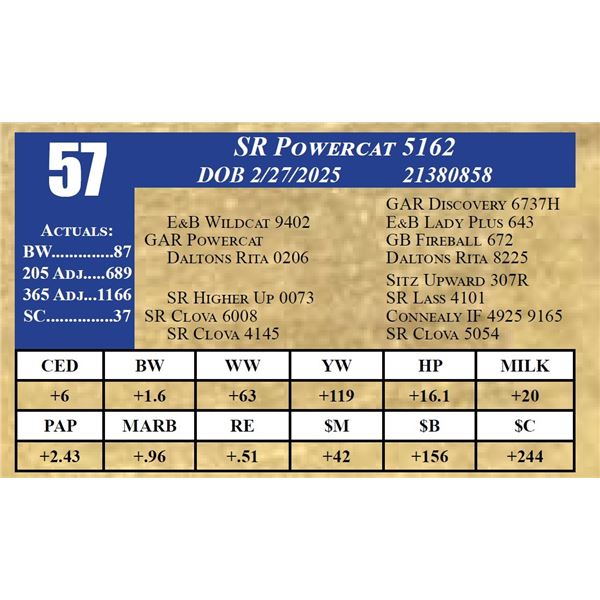 SR POWERCAT 5162