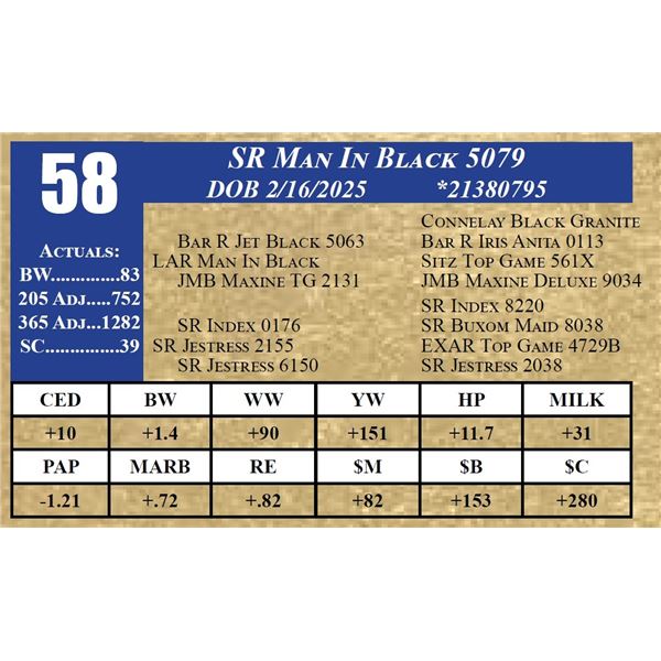 SR MAN IN BLACK 5079