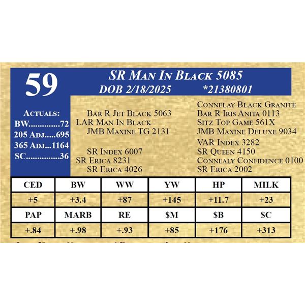 SR MAN IN BLACK 5085