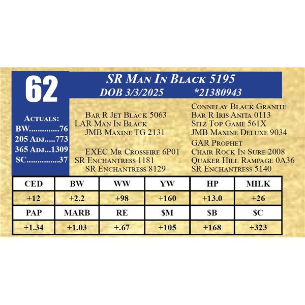 SR MAN IN BLACK 5195