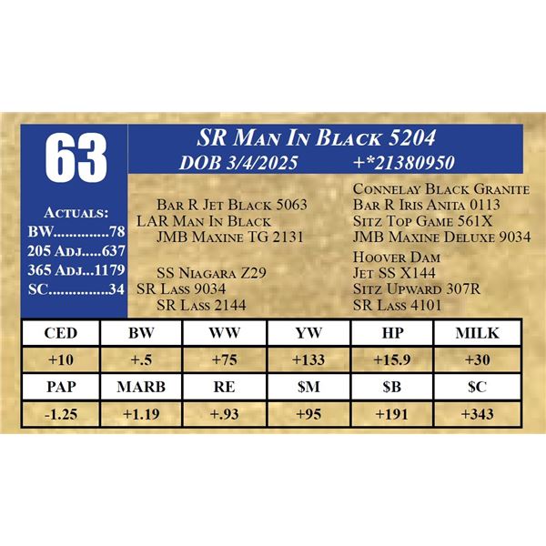 SR MAN IN BLACK 5204