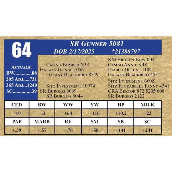 SR GUNNER 5081