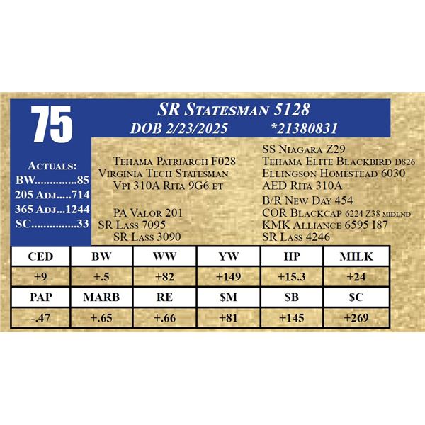 SR STATESMAN 5128
