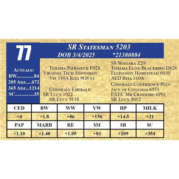 SR STATESAMAN 5203