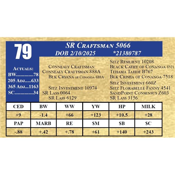SR CRAFTSMAN 5066