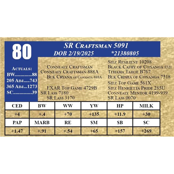 SR CRAFTSMAN 5091