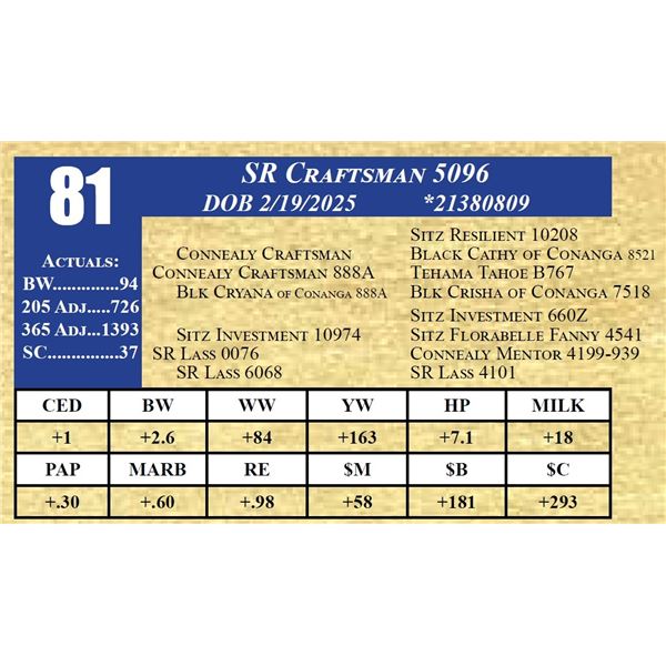 SR CRAFTSMAN 5096