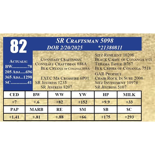 SR CRAFTSMAN 5098