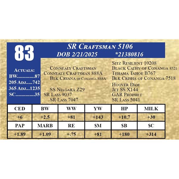 SR CRAFTSMAN 5106