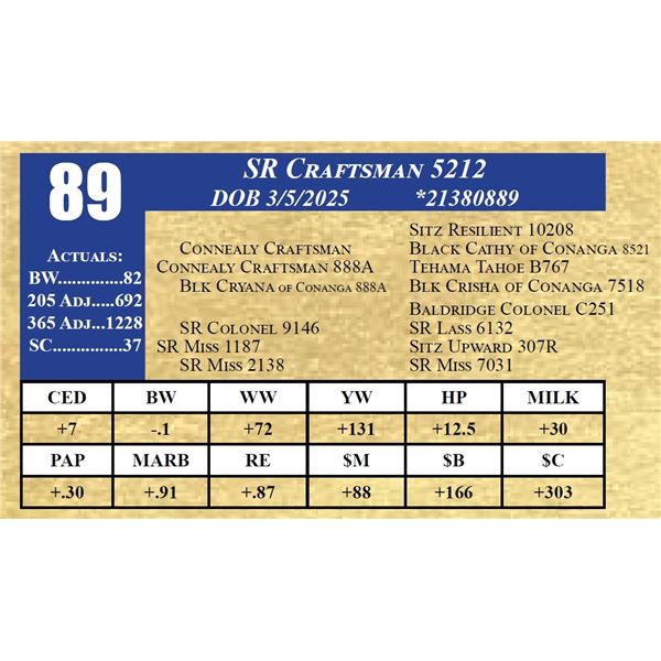SR CRAFTSMAN 5212