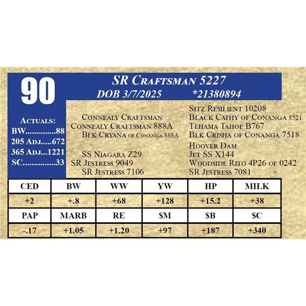 SR CRAFTSMAN 5227