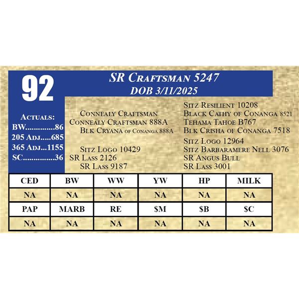 SR CRAFTSMAN 5247