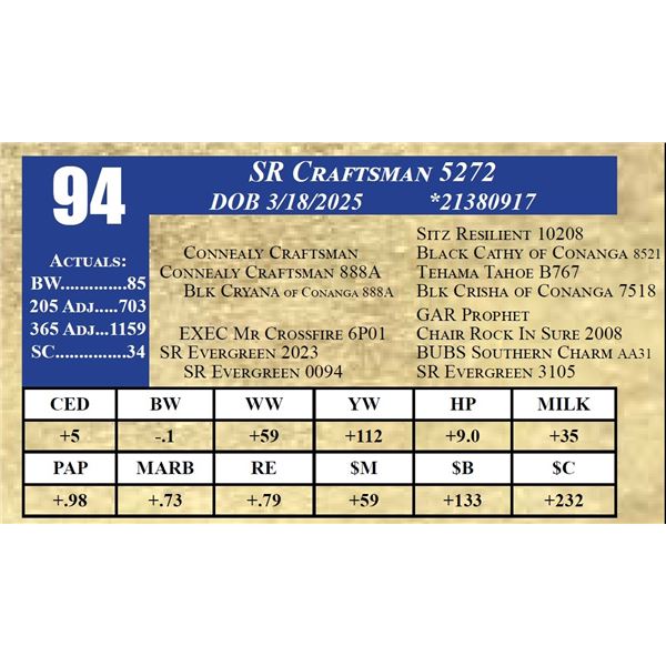 SR CRAFTSMAN 5272